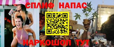 СК Рязань
